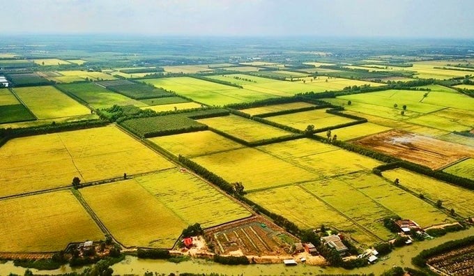 Kéo dài miễn thuế sử dụng đất nông nghiệp thêm 5 năm